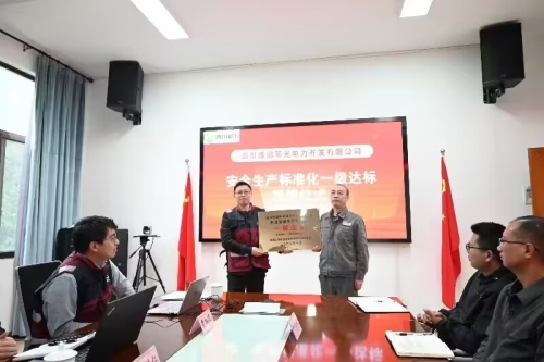 西部阳光标准化授牌仪式1_副本.jpg